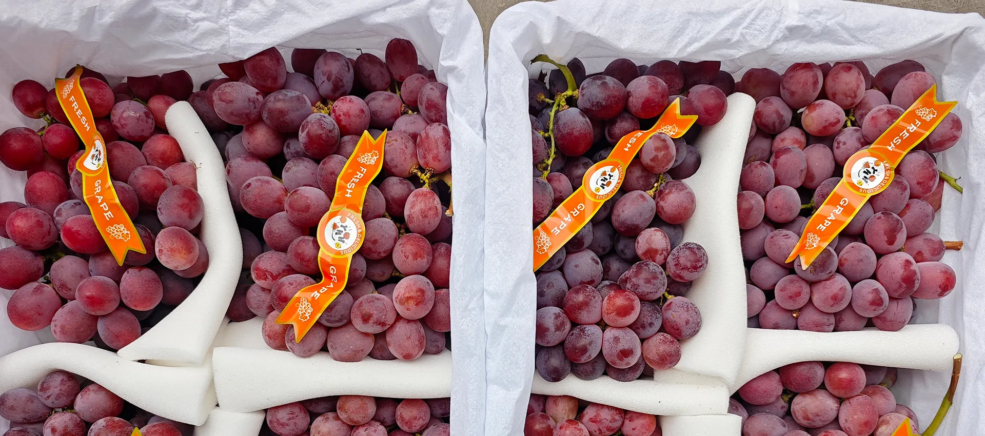 Provedor de uvas frescas premium de China