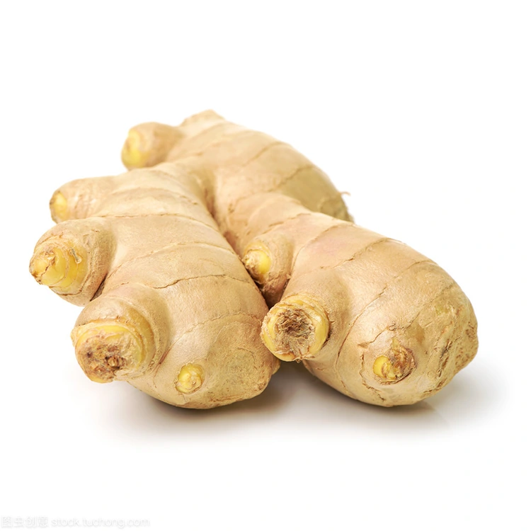 Por que Premium Fresh Ginger é a opción preferida para os compradores conscientes da calidade?