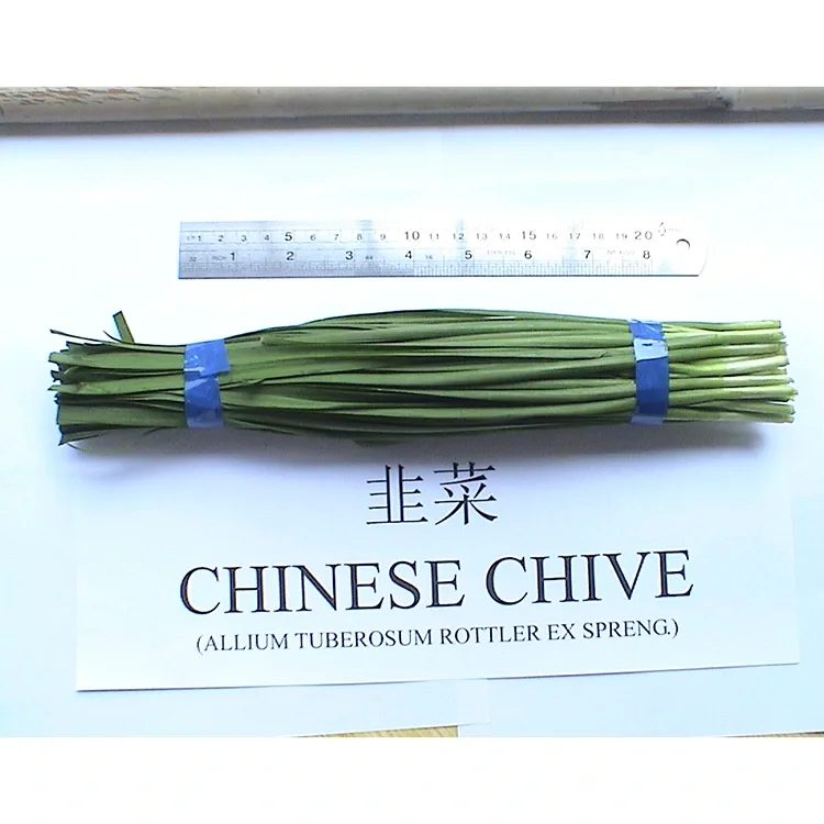Por que se usan amplamente o ceboliño chinés fresco na cociña asiática?