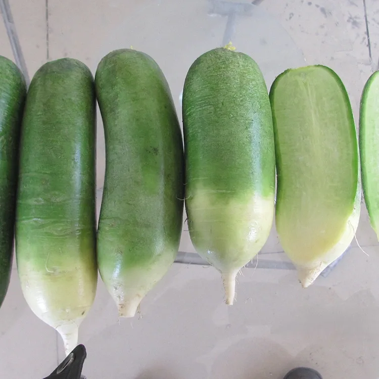 Rábano verde crujiente
