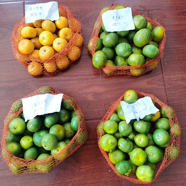 Mandarina Fresca de Mel