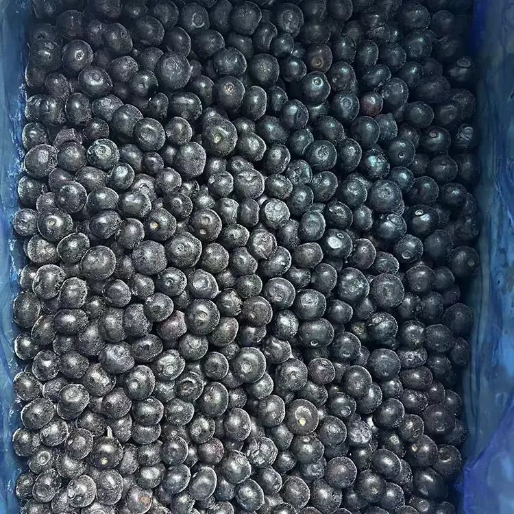 Arándanos IQF Premium Frozen Blueberry
