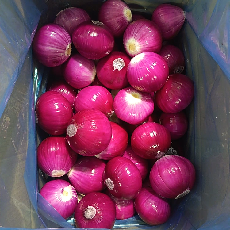 Cebola pelada de alta calidade