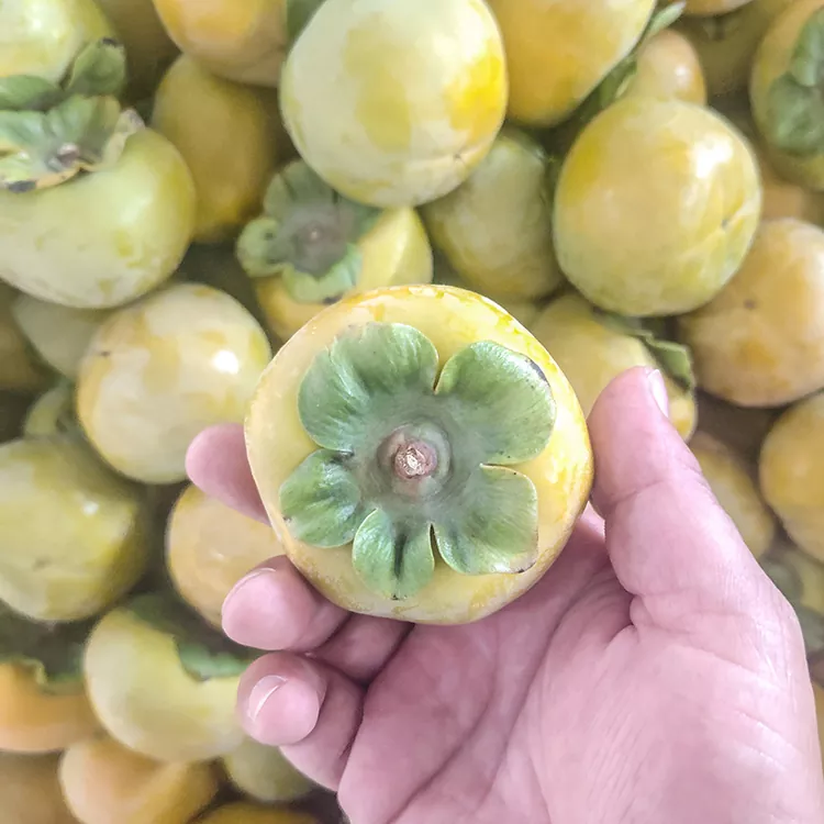 Caqui Crisp Fresh Premium