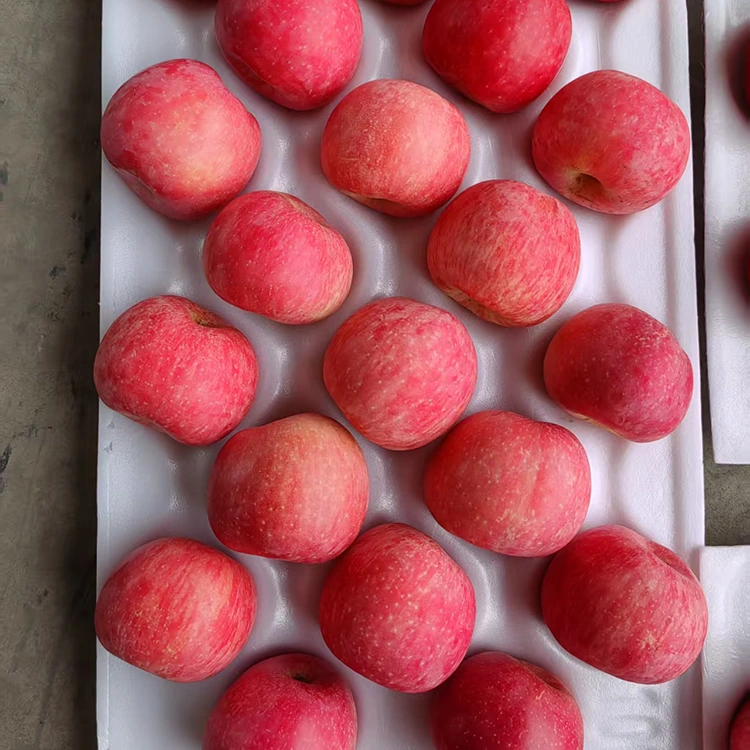 Manzanas Fuji frescas premium