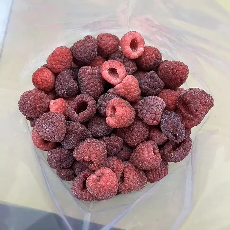 Framboesa vermella conxelada enteira IQF Premium