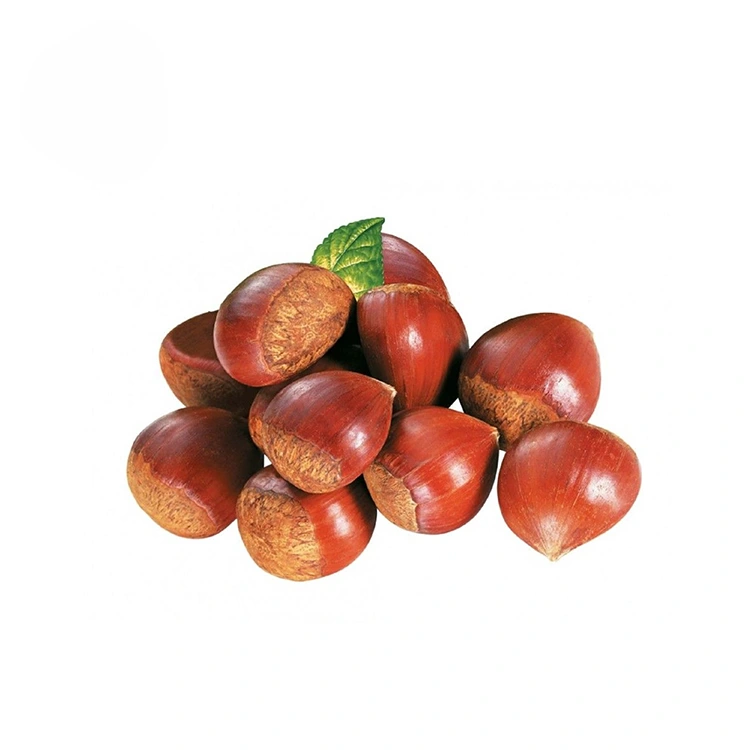 Castañas de Calidade Premium