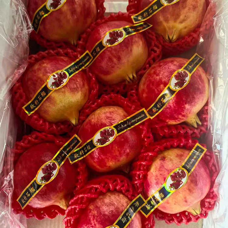 Romas de sementes suaves de Tunisia Premium