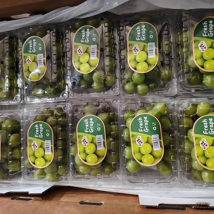 Uvas Moscatel Fresh Shine seleccionadas