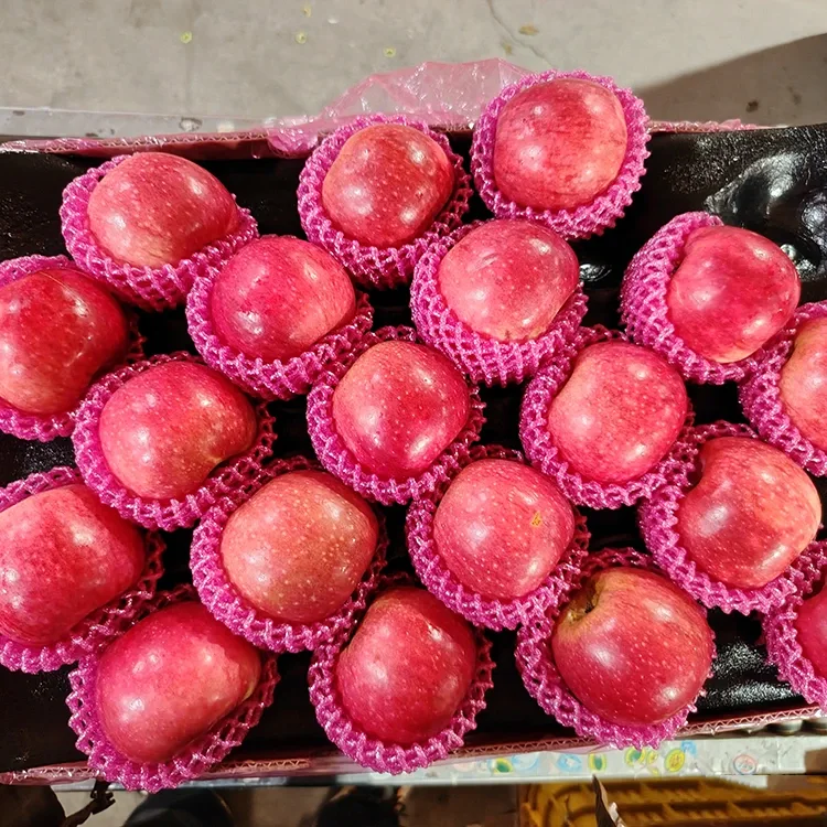 Mazás Jiguan frescas superiores